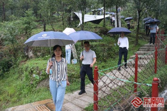领导来宾前往正禄林场调研。东南网记者 潘月容 摄 领导来宾前往正禄林场调研。东南网记者 潘月容 摄