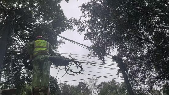 图为漳州联通抢修人员正在修复光缆。漳州联通供图 图为漳州联通抢修人员正在修复光缆。漳州联通供图