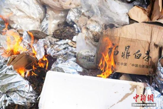 9月5日,在福建省福鼎市点头镇,近10吨“泡水茶”进行集中销毁。吴小翠 摄 9月5日,在福建省福鼎市点头镇,近10吨“泡水茶”进行集中销毁。吴小翠 摄