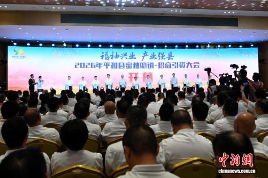9月5日,2026年平和县蜜柚购销·招商引资大会在福建省漳州市平和县开幕。图为开幕式现场。中新网记者 张金川 摄 9月5日,2026年平和县蜜柚购销·招商引资大会在福建省漳州市平和县开幕。图为开幕式现场。中新网记者 张金川 摄