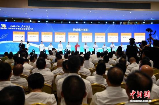 9月5日,2026年平和县蜜柚购销·招商引资大会在福建省漳州市平和县开幕。图为购销集中签约现场。中新网记者 张金川 摄 9月5日,2026年平和县蜜柚购销·招商引资大会在福建省漳州市平和县开幕。图为购销集中签约现场。中新网记者 张金川 摄
