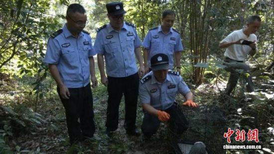 放生现场。武夷山融媒体中心供图。 放生现场。武夷山融媒体中心供图。
