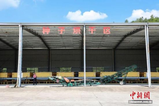 种子烘干区。建宁县融媒体中心供图 种子烘干区。建宁县融媒体中心供图