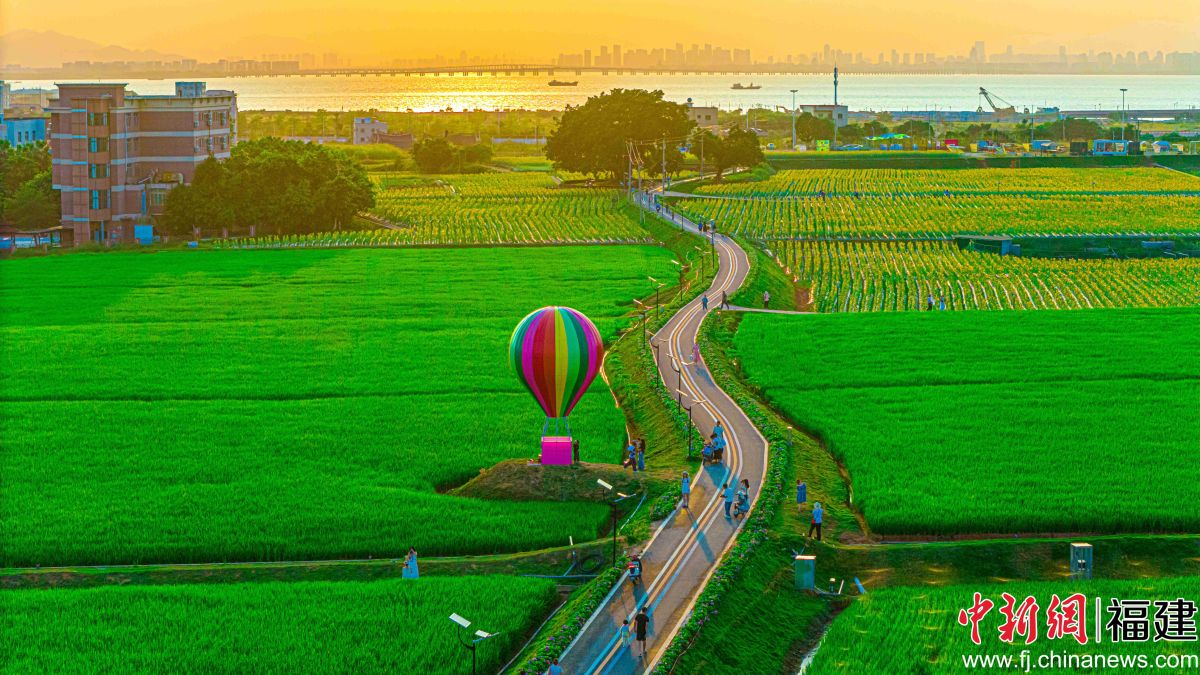 图为基地一角。 图为基地一角。