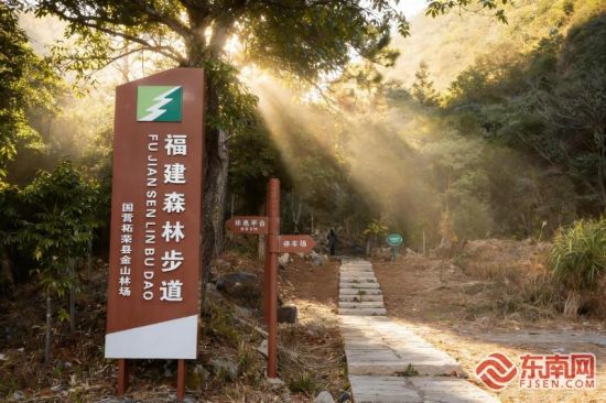 金山林场原生态森林康养步道。东源乡供图 金山林场原生态森林康养步道。东源乡供图
