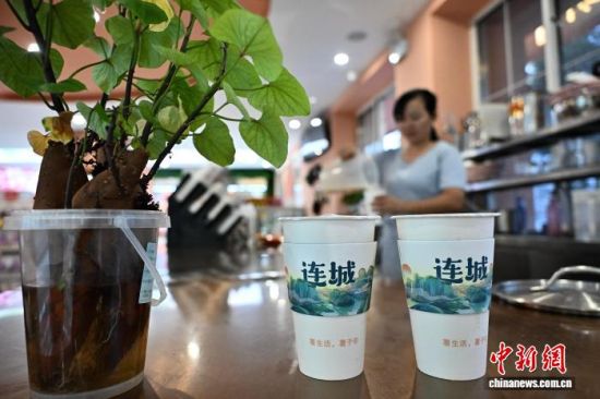 9月21日,位于连城县城区的薯工坊内,店员正在为顾客制作红薯鲜奶茶。中新社记者 张斌 摄 9月21日,位于连城县城区的薯工坊内,店员正在为顾客制作红薯鲜奶茶。中新社记者 张斌 摄