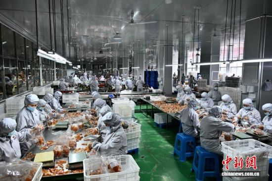 9月21日,在连城县食品加工专业园,一家地瓜干产品生产企业工人在生产线上包装产品。中新社记者 张斌 摄 9月21日,在连城县食品加工专业园,一家地瓜干产品生产企业工人在生产线上包装产品。中新社记者 张斌 摄