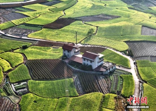 9月24日,秋日从空中俯瞰福建三明永安市的乡间田野色彩缤纷,美若多彩的调色板。(无人机照片)中新社记者 张斌 摄 9月24日,秋日从空中俯瞰福建三明永安市的乡间田野色彩缤纷,美若多彩的调色板。(无人机照片)中新社记者 张斌 摄