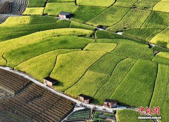 9月24日,秋日从空中俯瞰福建三明永安市的乡间田野色彩缤纷,美若多彩的调色板。(无人机照片)中新社记者 张斌 摄 9月24日,秋日从空中俯瞰福建三明永安市的乡间田野色彩缤纷,美若多彩的调色板。(无人机照片)中新社记者 张斌 摄