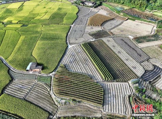 9月24日,秋日从空中俯瞰福建三明永安市的乡间田野色彩缤纷,美若多彩的调色板。(无人机照片)中新社记者 张斌 摄 9月24日,秋日从空中俯瞰福建三明永安市的乡间田野色彩缤纷,美若多彩的调色板。(无人机照片)中新社记者 张斌 摄