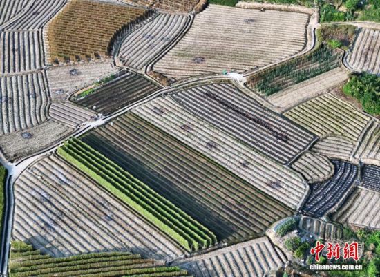9月24日,秋日从空中俯瞰福建三明永安市的乡间田野色彩缤纷,美若多彩的调色板。(无人机照片)中新社记者 张斌 摄 9月24日,秋日从空中俯瞰福建三明永安市的乡间田野色彩缤纷,美若多彩的调色板。(无人机照片)中新社记者 张斌 摄
