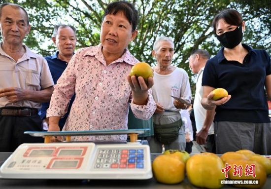9月24日,民众在活动上体验“柿柿精准——盲称甜柿”游戏。中新社记者 张斌 摄 9月24日,民众在活动上体验“柿柿精准——盲称甜柿”游戏。中新社记者 张斌 摄