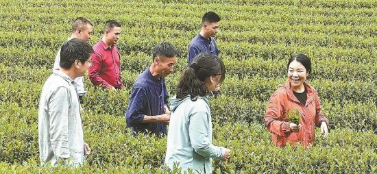廖红(右一)在茶园和茶农交流。 廖红(右一)在茶园和茶农交流。