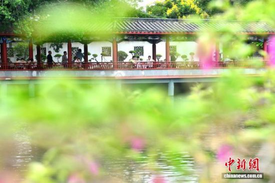10月2日,国庆假期,位于福建福州市区的古典园林公园——南公园吸引许多市民和游客前来参观游玩。南公园原为清初靖南王耿继茂的别墅花园,至今已有300多年历史。中新社记者 张斌 摄 10月2日,国庆假期,位于福建福州市区的古典园林公园——南公园吸引许多市民和游客前来参观游玩。南公园原为清初靖南王耿继茂的别墅花园,至今已有300多年历史。中新社记者 张斌 摄