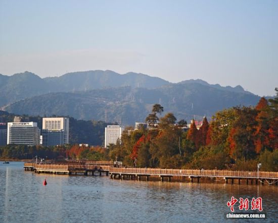 位于宁德市中心城区的东湖栈道,是市民散步休闲的热门去处。(资料图)吴允杰 摄 位于宁德市中心城区的东湖栈道,是市民散步休闲的热门去处。(资料图)吴允杰 摄