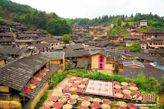 图为福建省三明市尤溪县桂峰村的村民们忙着“晒秋”,引得游客纷纷前往观赏。陈金华 供图 图为福建省三明市尤溪县桂峰村的村民们忙着“晒秋”,引得游客纷纷前往观赏。陈金华 供图