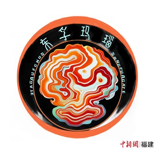 厦门市市场监管局 供图 厦门市市场监管局 供图