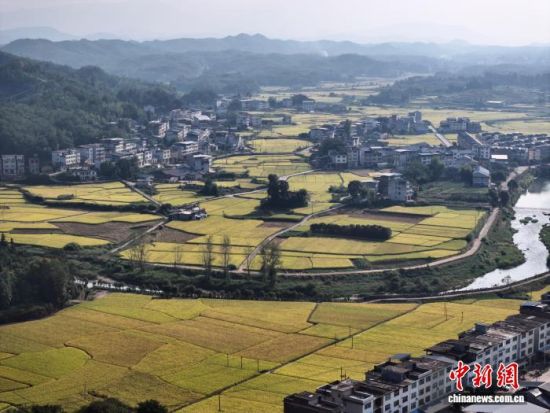 10月14日,空中俯瞰世界客家祖地——福建省宁化县石壁镇,乡间的稻田与民居、山峦等相映成景,勾勒出一幅诗意的乡村丰收画卷。(无人机照片)中新社记者 张斌 摄 10月14日,空中俯瞰世界客家祖地——福建省宁化县石壁镇,乡间的稻田与民居、山峦等相映成景,勾勒出一幅诗意的乡村丰收画卷。(无人机照片)中新社记者 张斌 摄