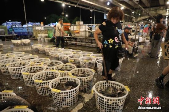 9月19日凌晨,台北市鱼类批发市场(万大路鱼市)正在销售新鲜渔产。 中新社记者 朱贺 摄 9月19日凌晨,台北市鱼类批发市场(万大路鱼市)正在销售新鲜渔产。 中新社记者 朱贺 摄