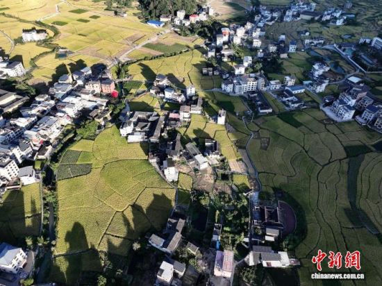 0��23�գ������������ռ��ڣ��ڸ�������������������İ��ô壬��Ƶĵ������������ҫ������һƬ��ɫ�ĺ������۶��Ƿ��վ������������ �ű� ��