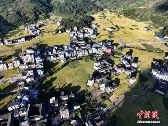 10��23�գ������������ռ��ڣ��ڸ�������������������İ��ô壬��Ƶĵ������������ҫ������һƬ��ɫ�ĺ������۶��Ƿ��վ������������ �ű� ��