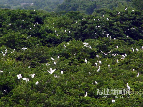... 简 笔画 酷炫 简 笔画 酷炫 眼镜 简 笔画 图片 酷炫