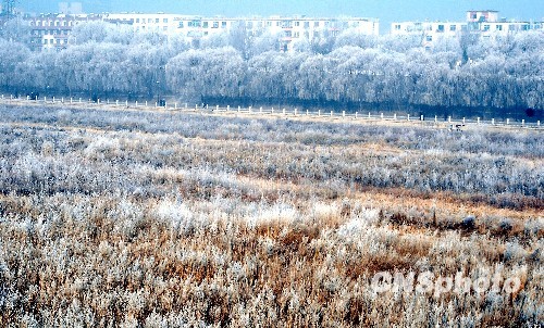 描写雾凇的诗-有哪些赞美雾凇的词语和诗句