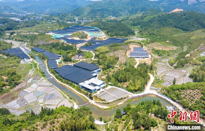 福建屏南高山花卉绽放“致富花”