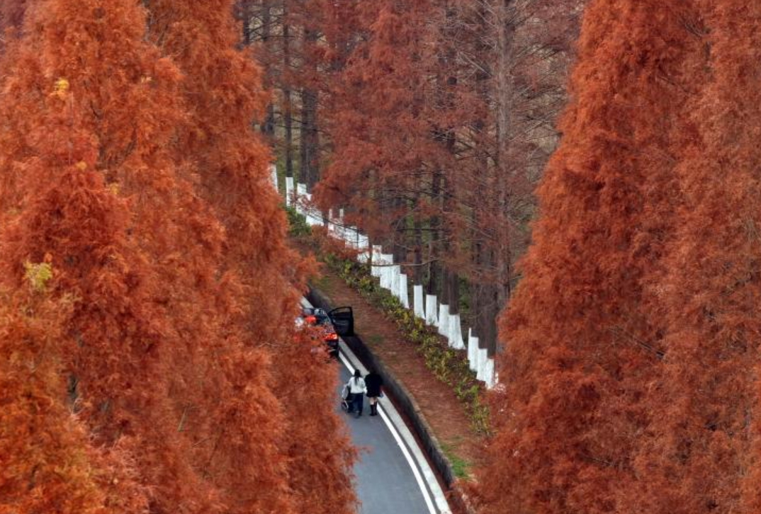 ɽҹ԰1ŷ羰20ˮɼױ