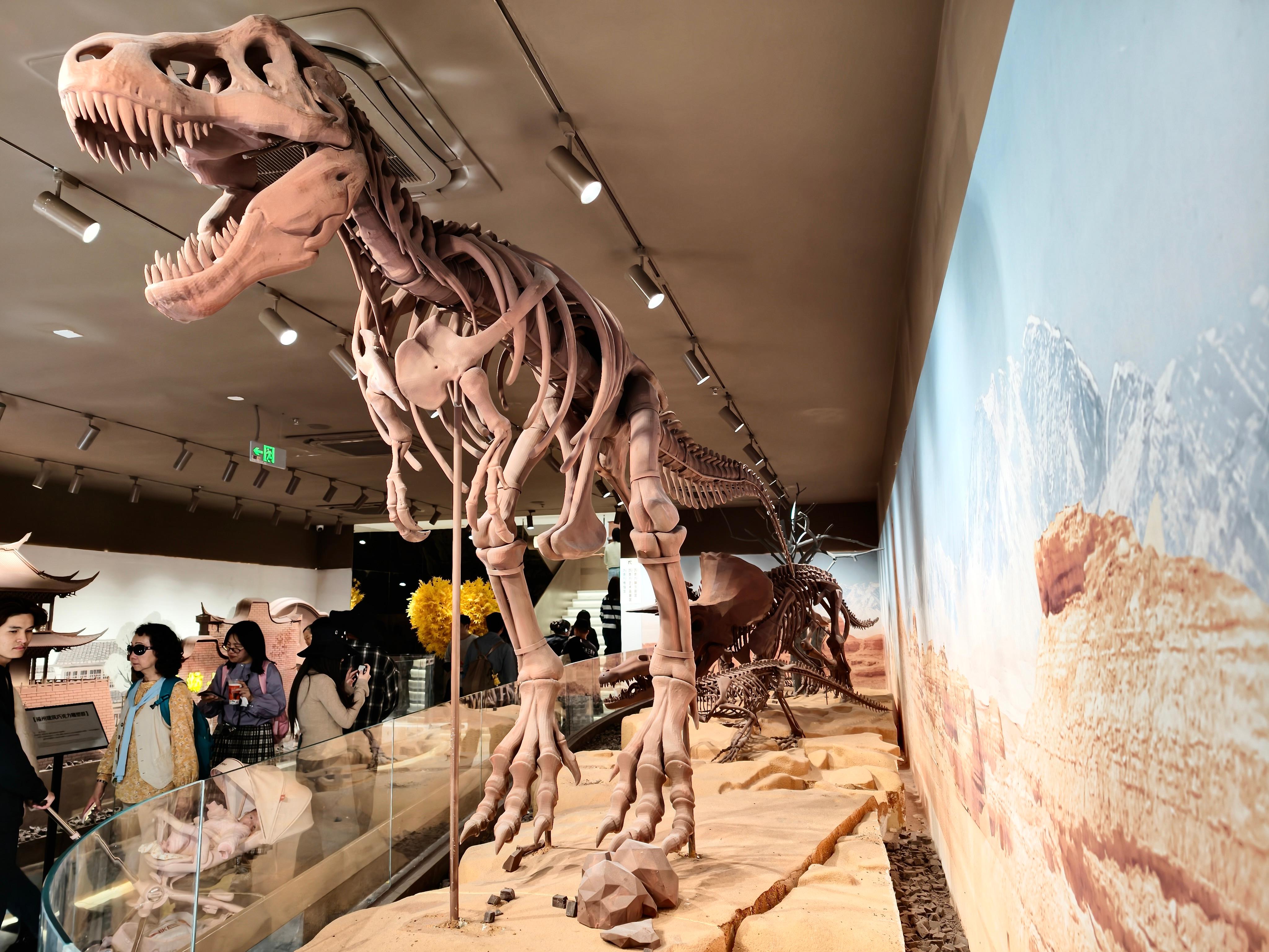 ���ݣ��ɿ�������������ι���