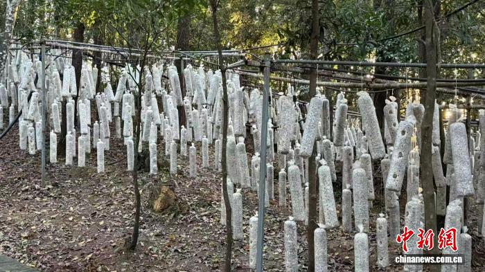 ������������Ԫ��ҵ�����̳ɽ� �����������