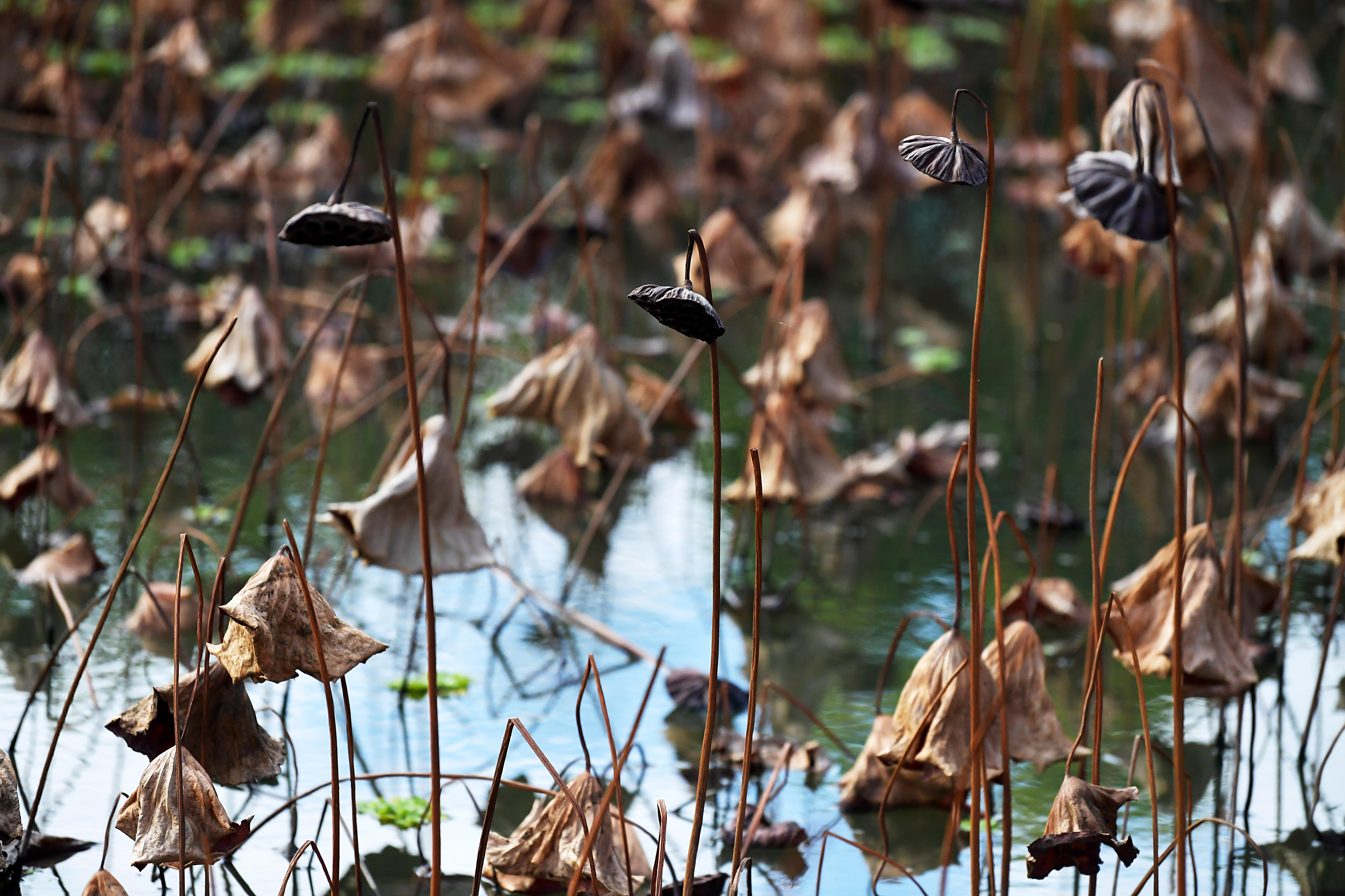 ���ݣ��к��续