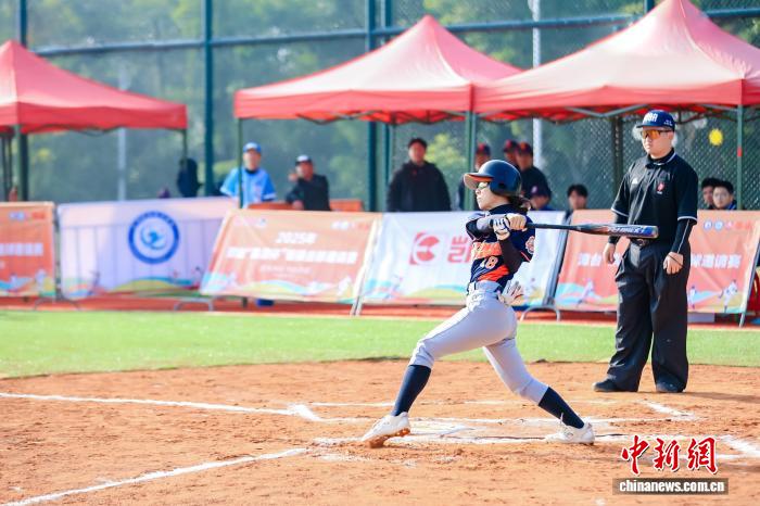 2025����̨������������Ͷ�����������������ݿ���