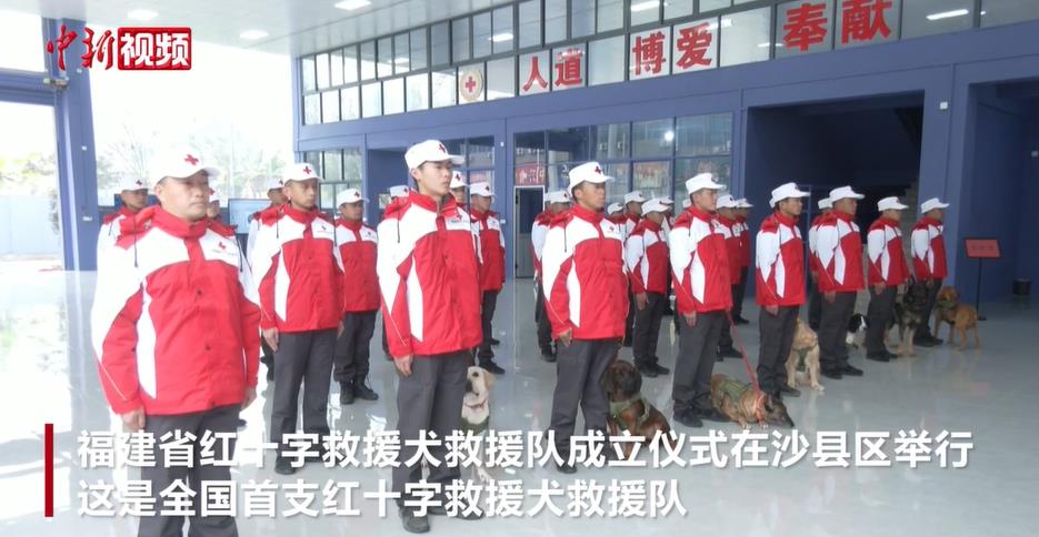 ȫ����֧��ʮ�־�ԮȮ��Ԯ���ڸ�����������