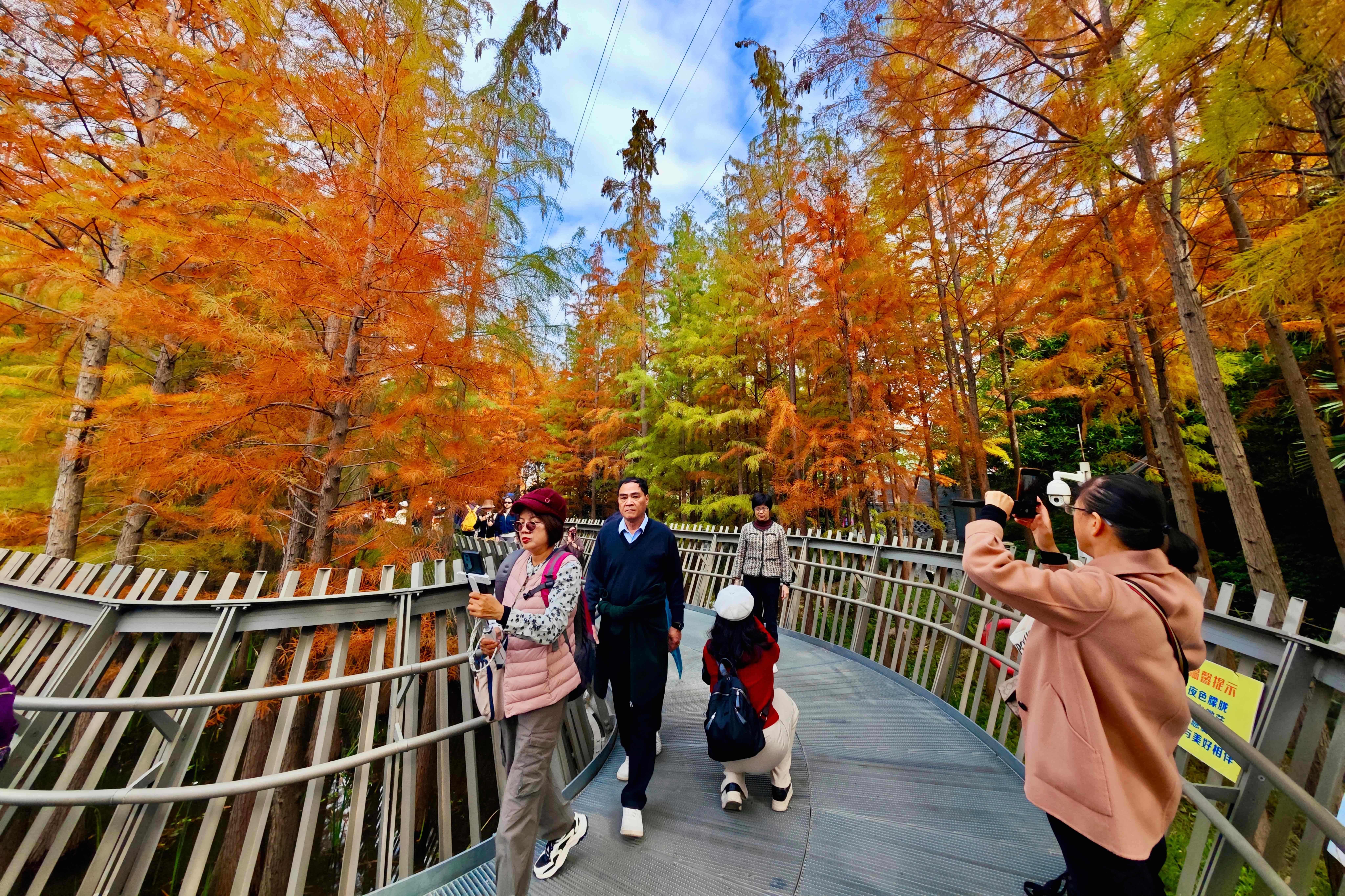 �������ݣ�����ˮɼ����װ��ӭ��