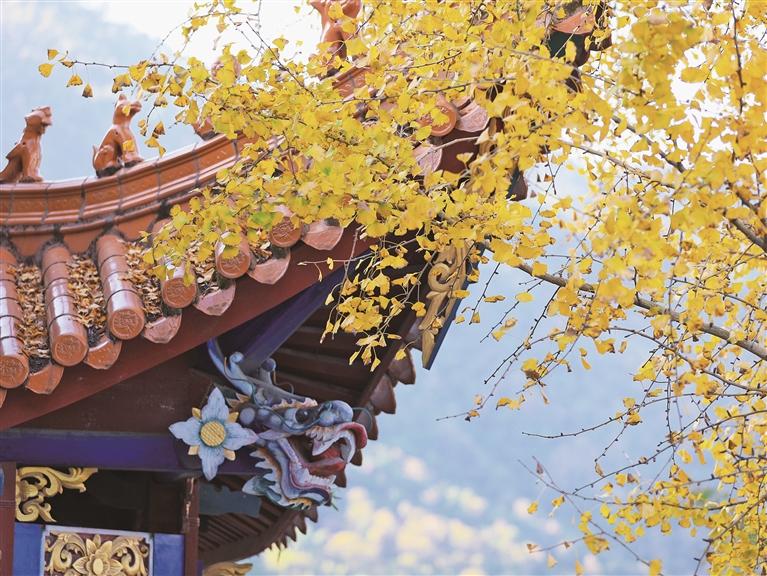 ���������£�170�����������̽�