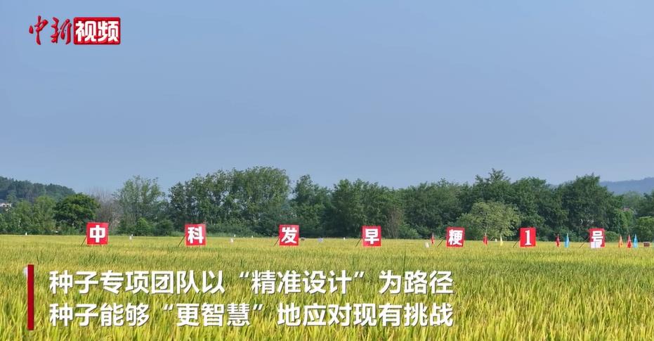 ������ʳ��ȫ���й�о�� �й���ѧԺ����ר��ȡ��ȫ����ͻ��