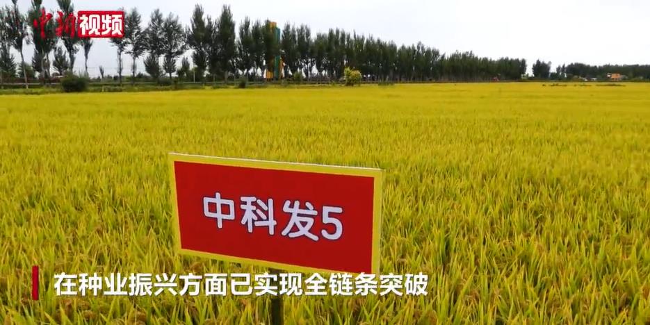 �����Ժʿ�����Ρ���ѡһ������չ�ش�Ʒ��ѡ��