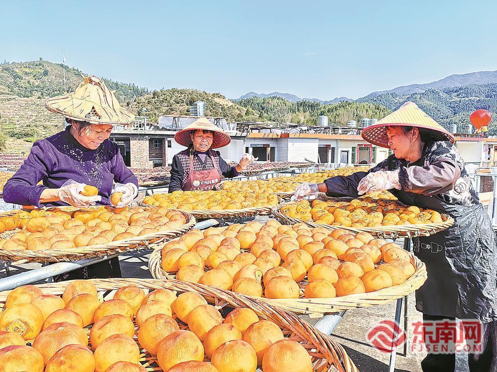 ����Ʈ��������