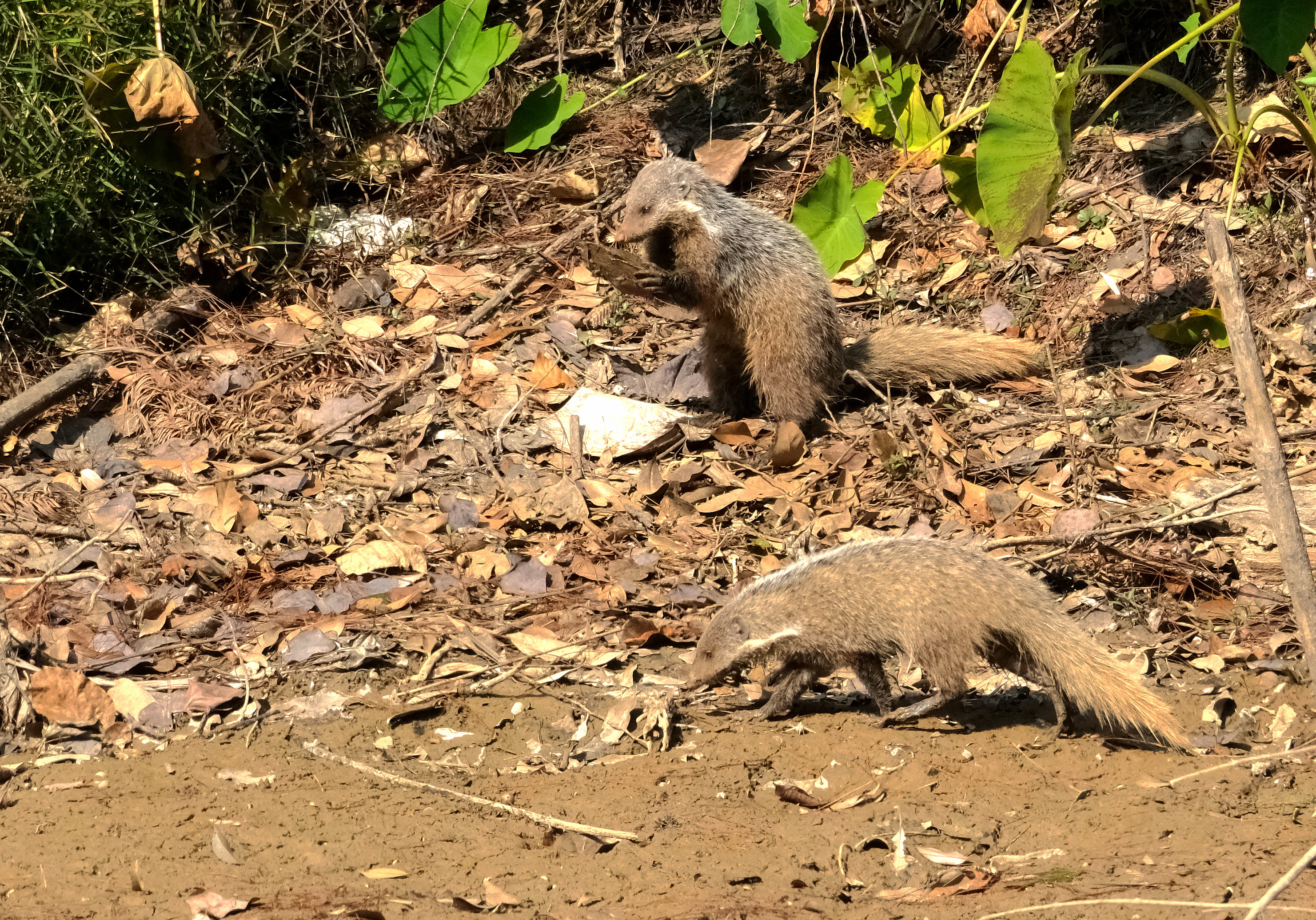 ��������һˮ�����ݡ��B���޳Բ�