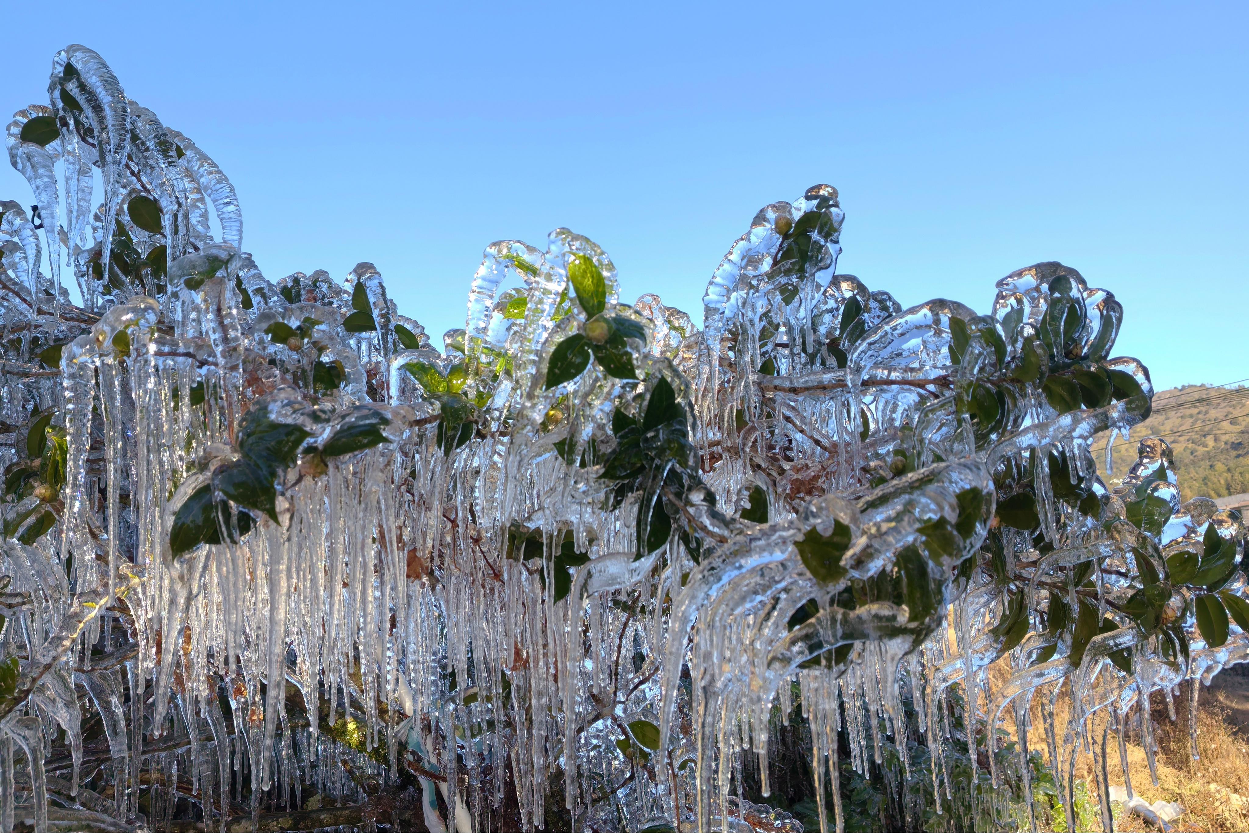 ���������ߺ���ɽ���ֶ�������