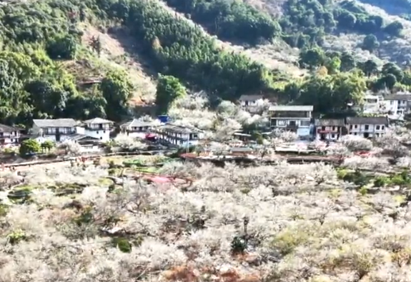 ������̩���ա�÷�����续 �ͻ����û����ŷ�