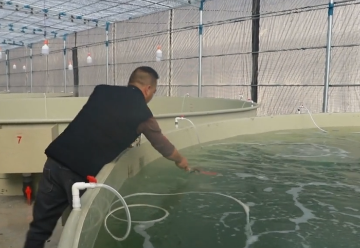 ���������������������������óɹ�