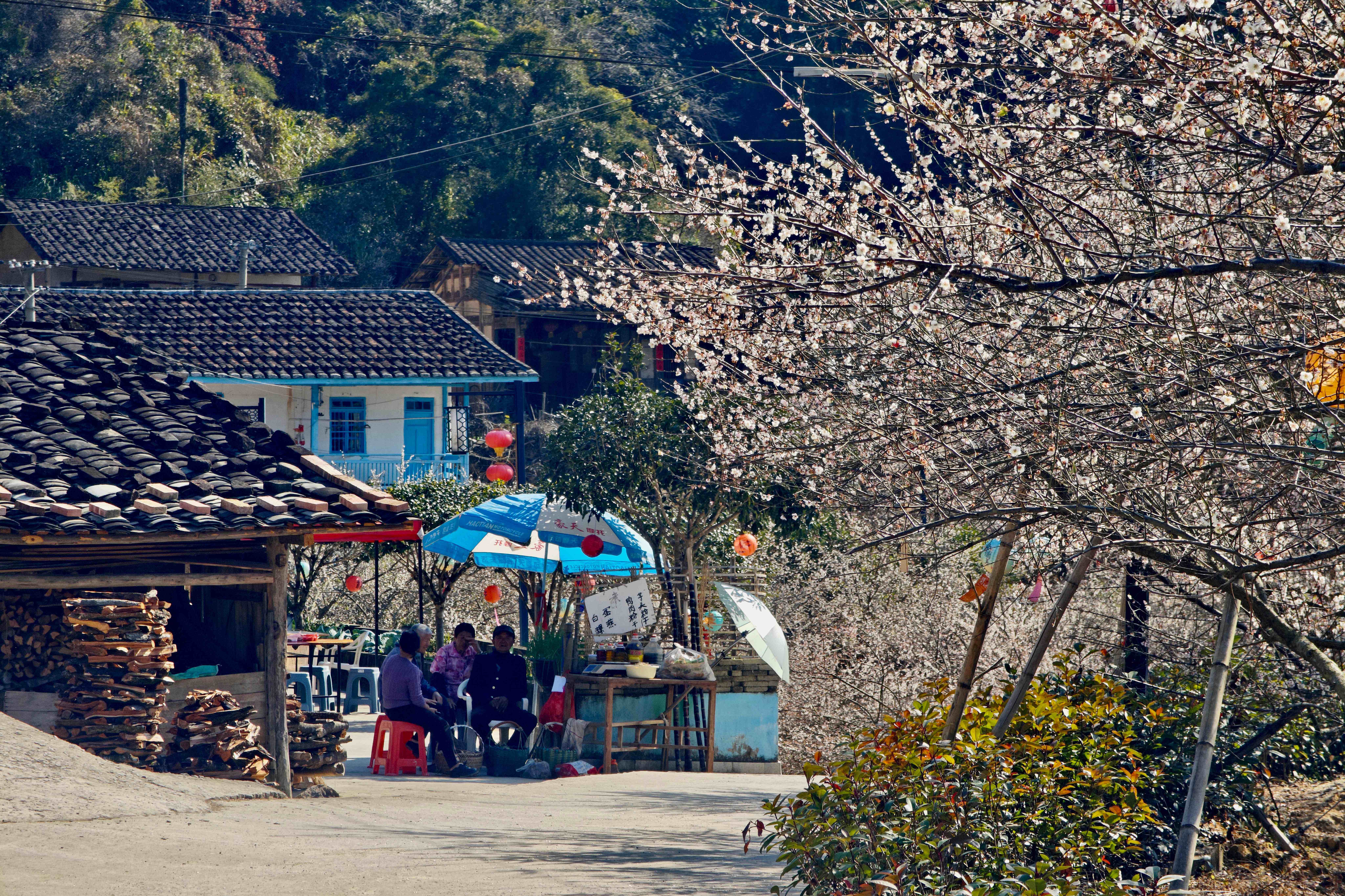 ������̩��÷��Ʈ��������