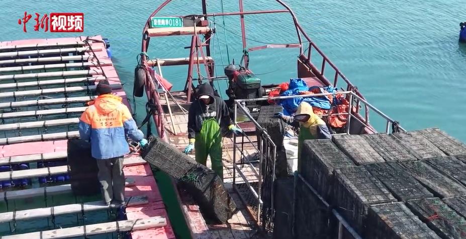 �������϶������� 15��������ӭ�����缾