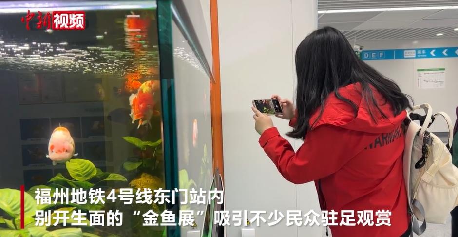 ���㡰�Ρ������ݵ���վ��䡰ˮ��ݡ� ���ݽ������ֵȫ����λ