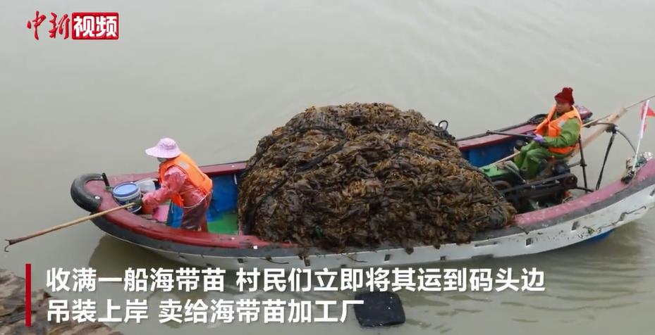 �����������������ռ� ������ǰ�г�