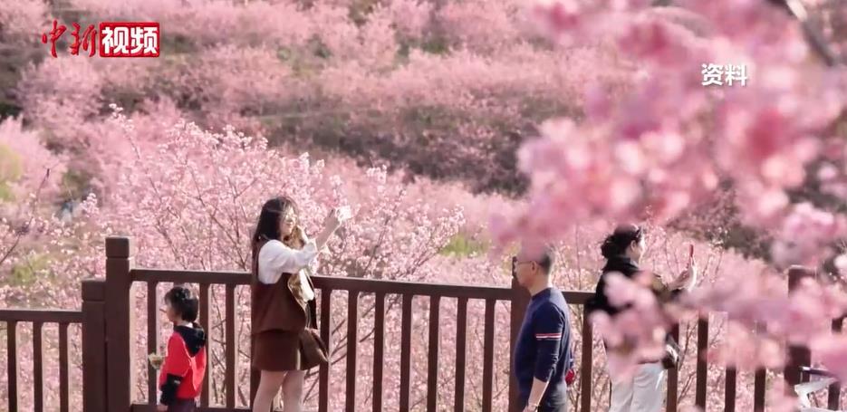 ����ʡ������ʱ�䡱���� Ӫ�̻������� �����˲ž�ҵ�ܹ�ע