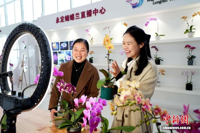 �������Ի�Ϊý������ ����������������������