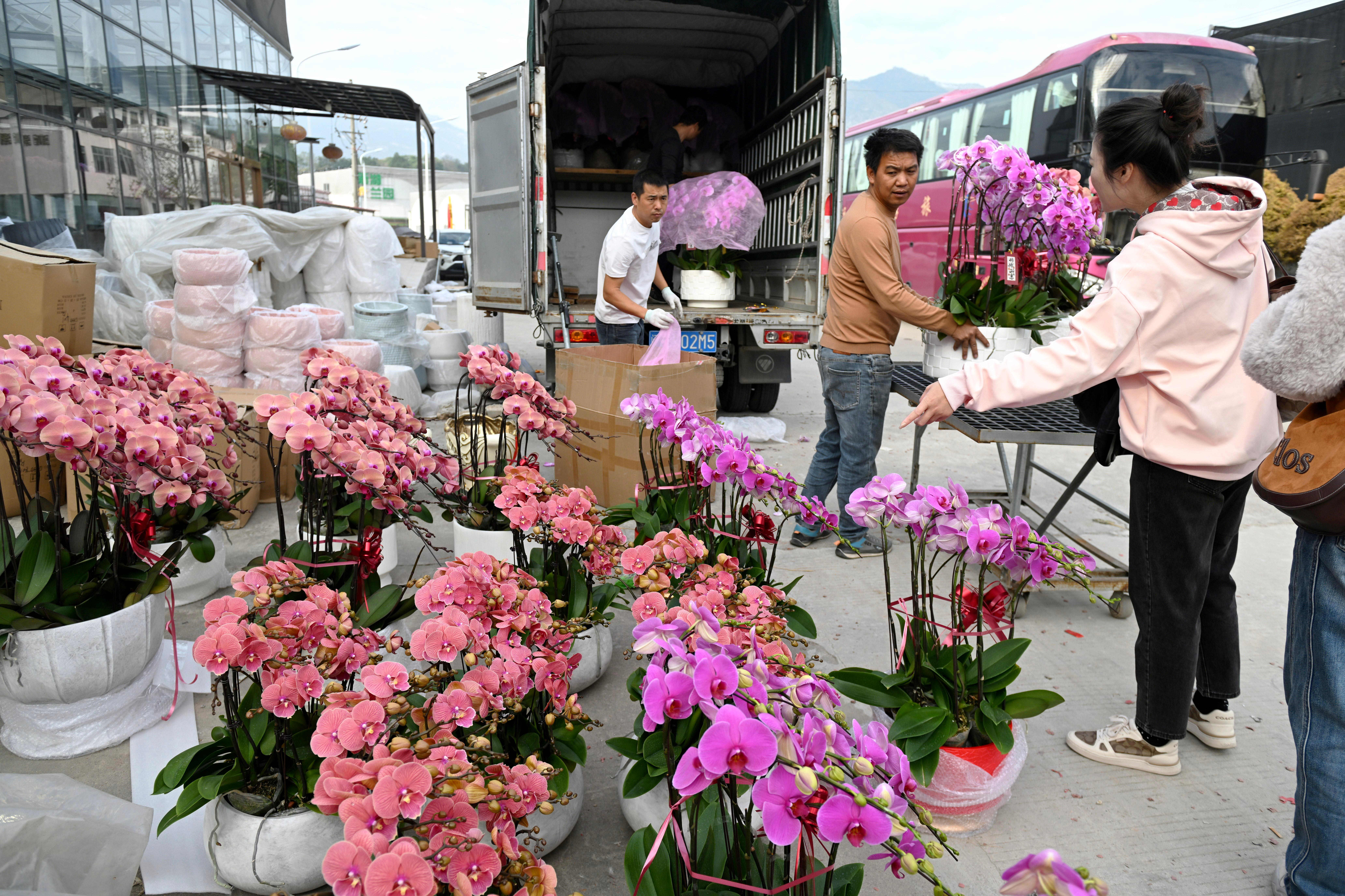 �������֣�������ӭ��������